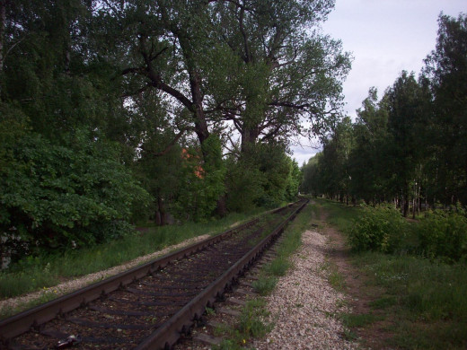 41575 (a): :1600x1200